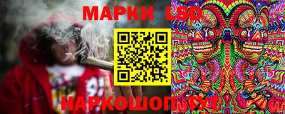 индика Краснознаменск