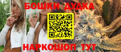 индика Краснознаменск