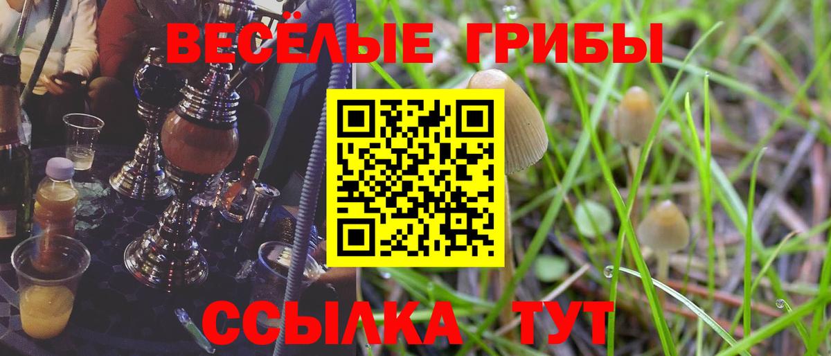 Галлюциногенные грибы прущие грибы Ижевск