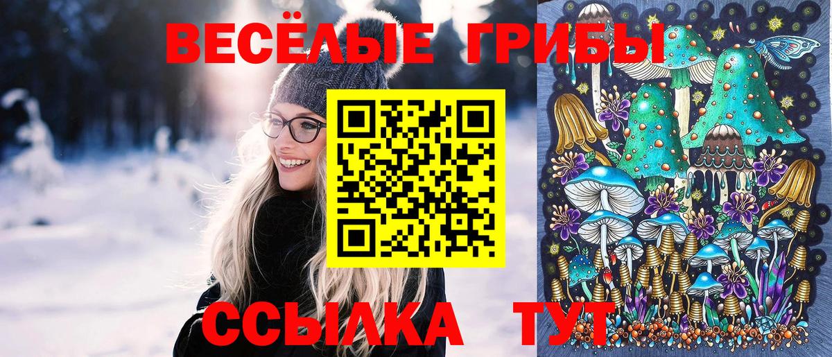 Ижевск  Галлюциногенные грибы Psilocybe  Вход с VPN 